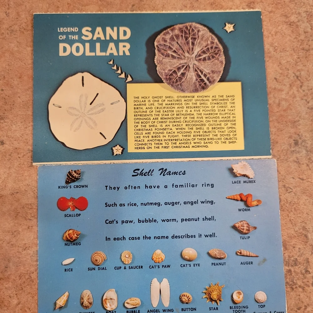Vintage Postcard Booklets from Florida ~ Circus ~ Seashells ~ Retro!